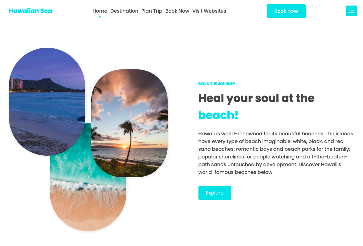 Travel website